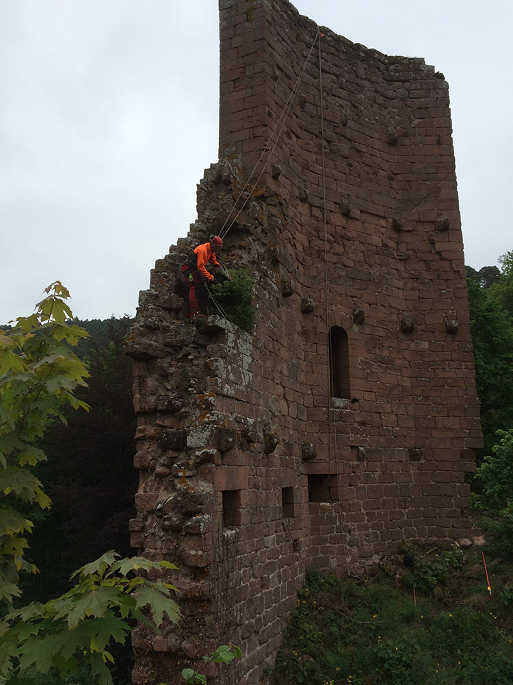 Bild in Bildergallerie