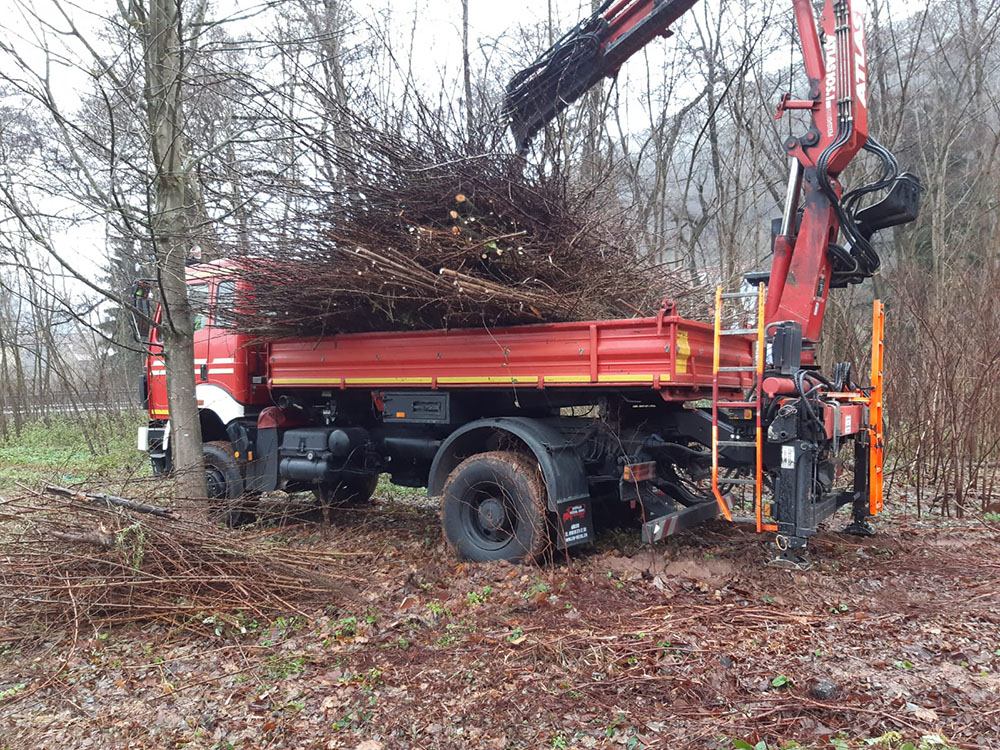 Bild in Bildergallerie